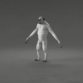 Chimpanzae